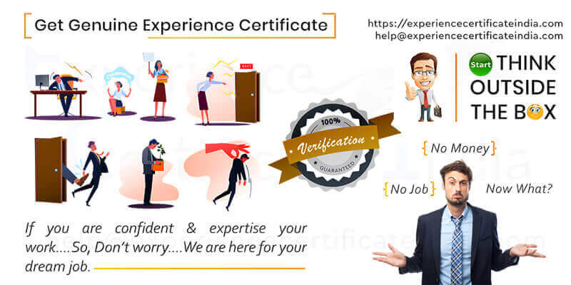 job experience certificate provider