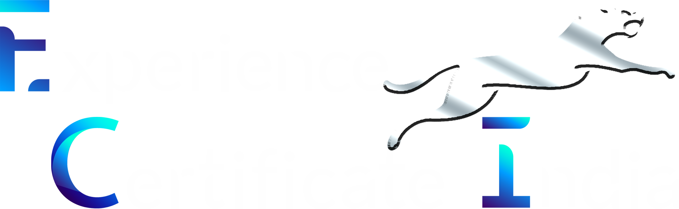 Experience certificate India